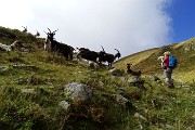 In vetta al Monte Valletto dal Monte di Sopra e al Monte Triomen il 21 settembre 2015  - FOTOGALLERY